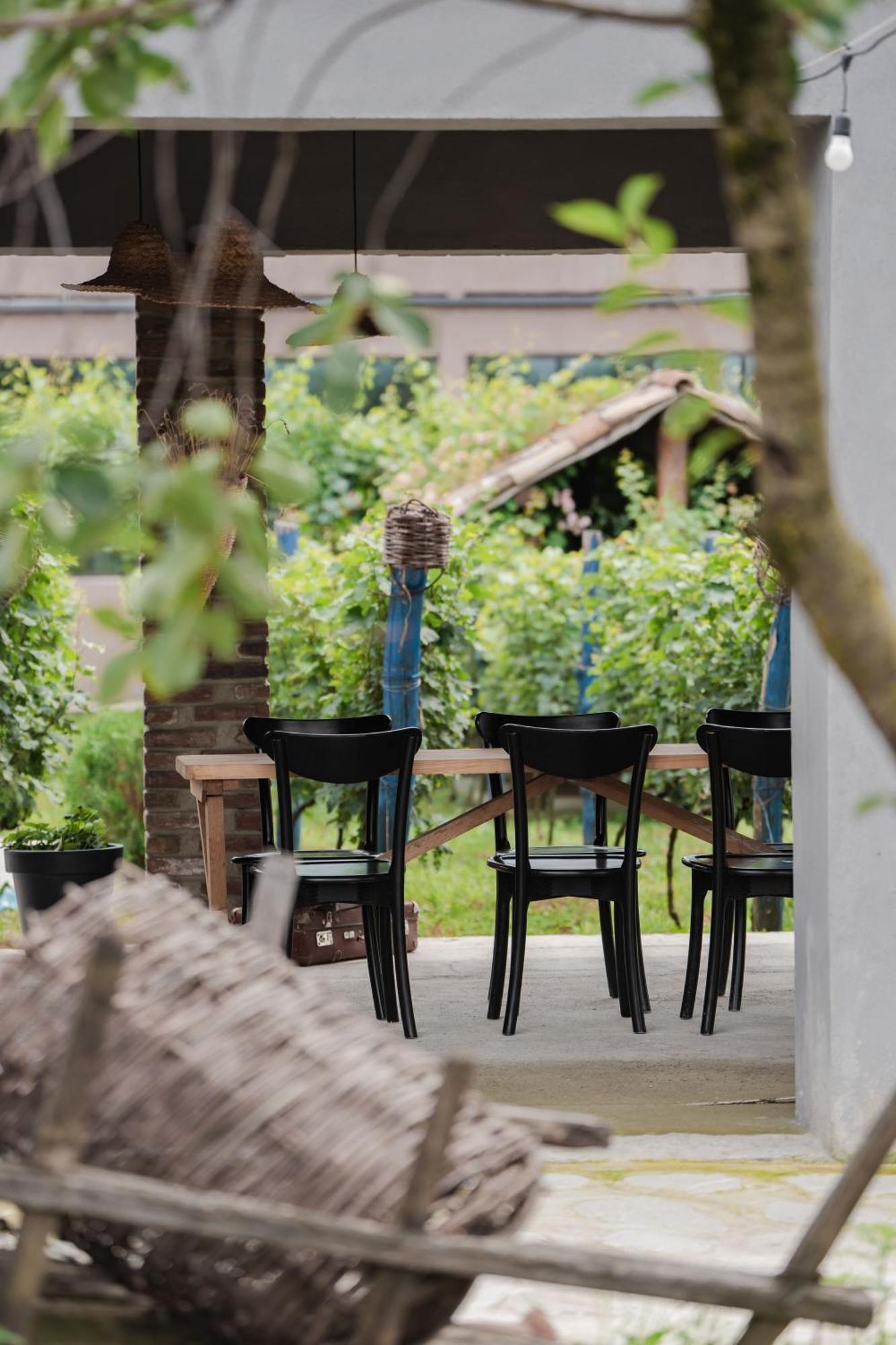 Vineyard Hotel & Winery Napareuli Buitenkant foto