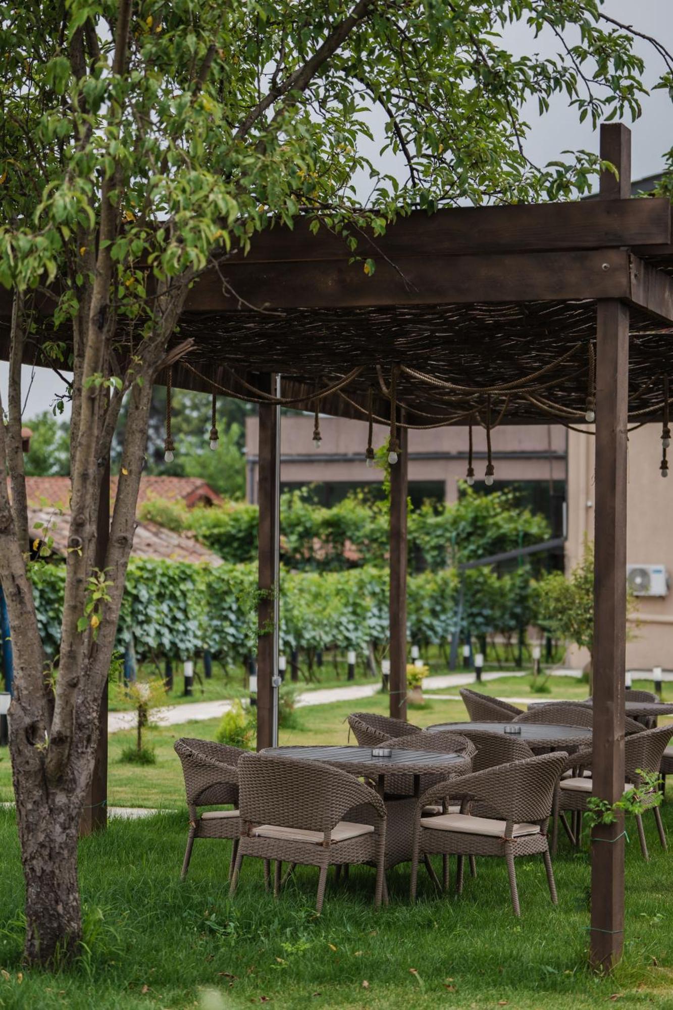 Vineyard Hotel & Winery Napareuli Buitenkant foto