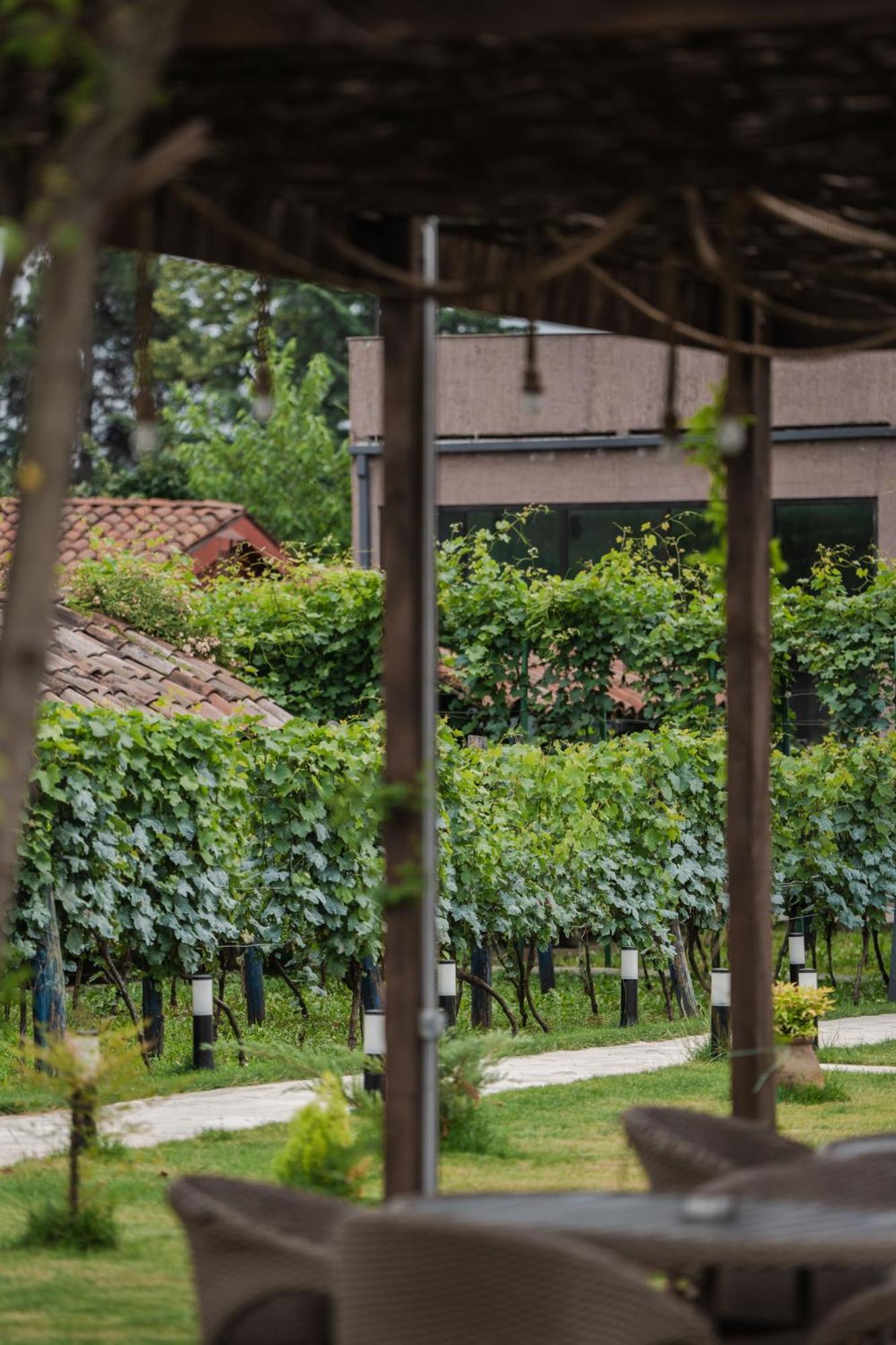 Vineyard Hotel & Winery Napareuli Buitenkant foto